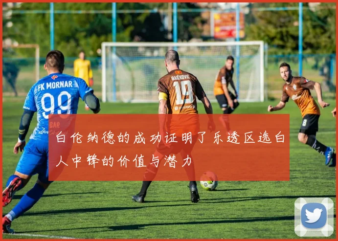 白伦纳德的成功证明了乐透区选白人中锋的价值与潜力