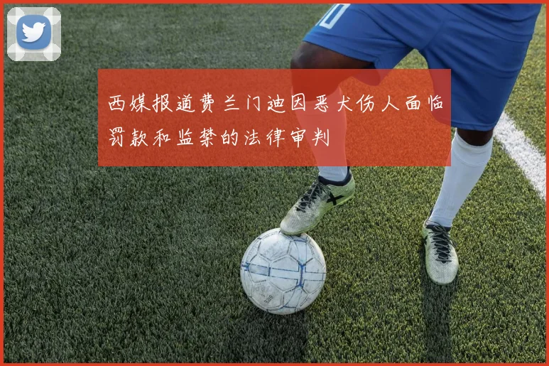 西媒报道费兰门迪因恶犬伤人面临罚款和监禁的法律审判