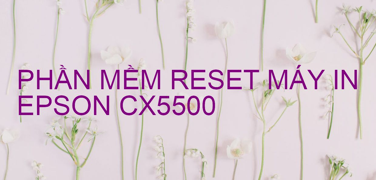 Phần mềm reset máy in Epson CX5500