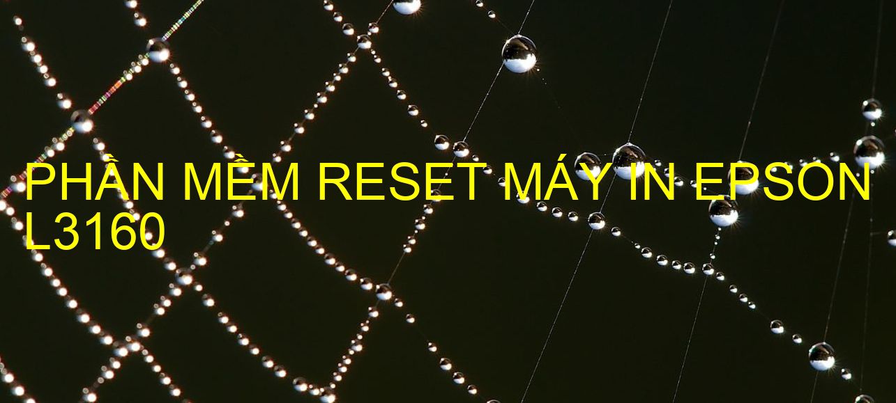 Phần mềm reset máy in Epson L3160