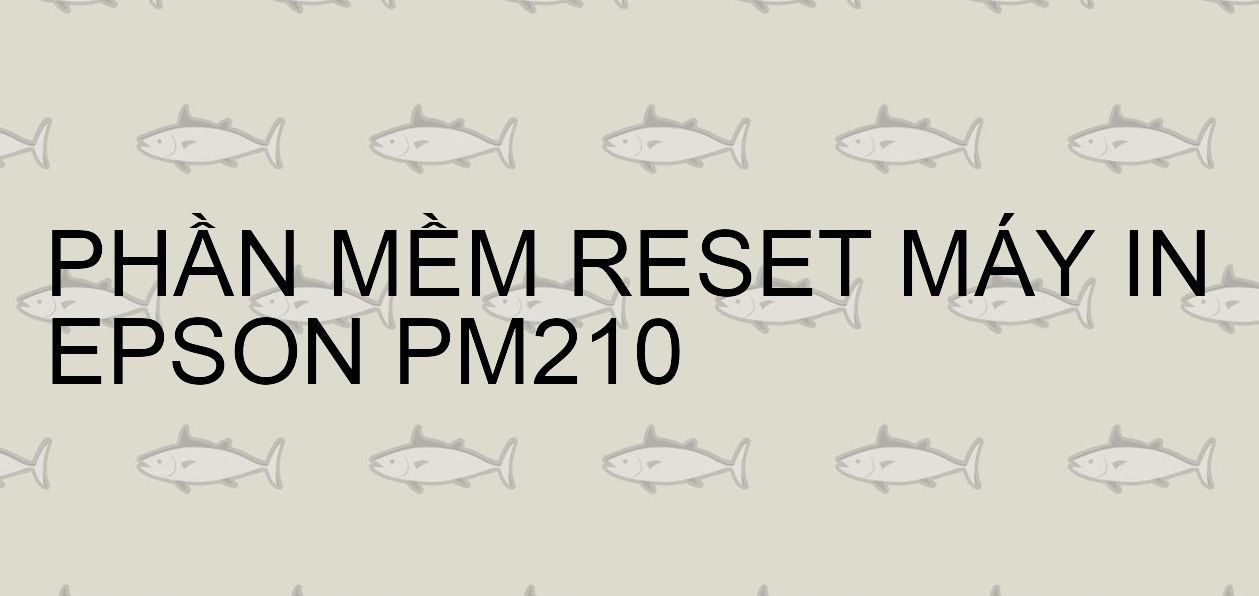 Phần mềm reset máy in Epson PM210