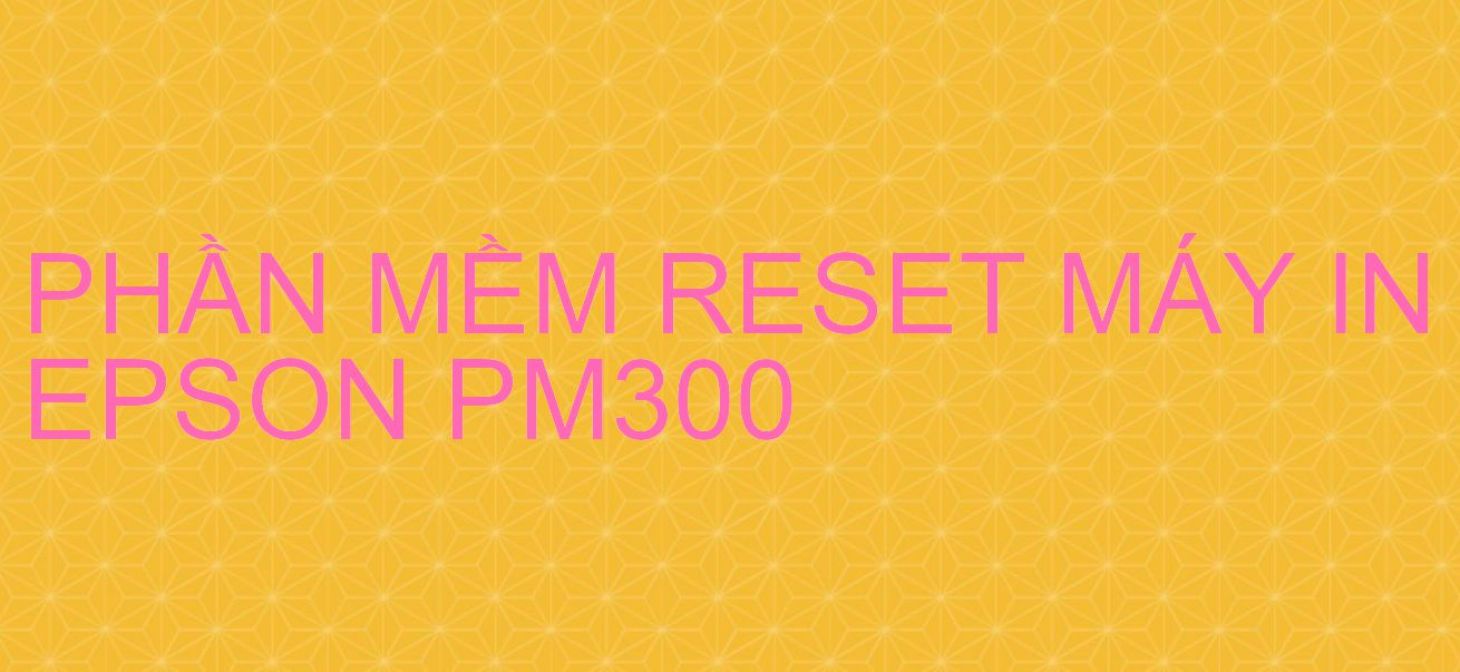 Phần mềm reset máy in Epson PM300
