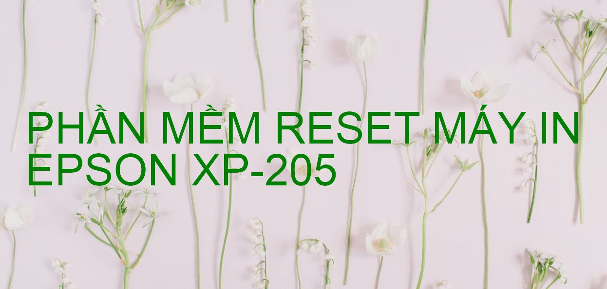 Phần mềm reset máy in Epson XP-205