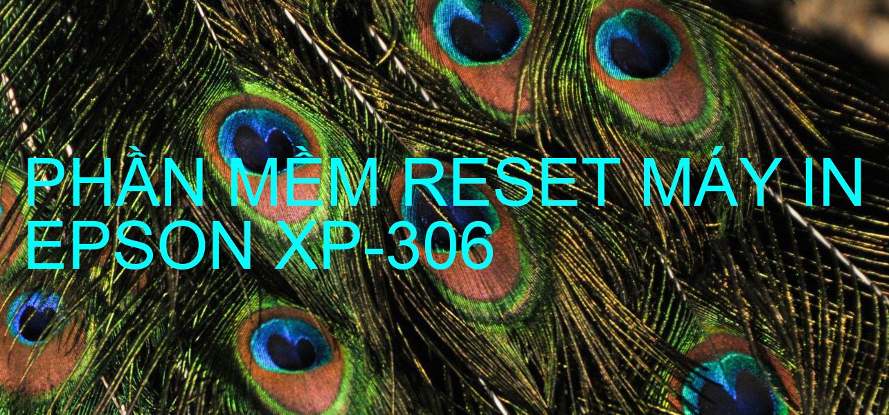 Phần mềm reset máy in Epson XP-306
